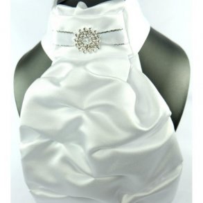  ShowQuest plastron model Regency V