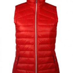 TransHorse-Sport Vest