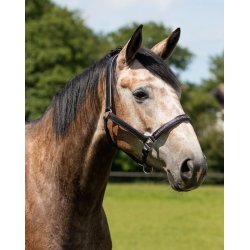 QHP l�dergrime brun eller sort med glitter sten p� n�seryg - ogs� til f�l